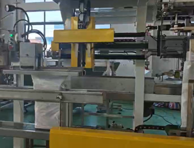 質  Dual-Lane Salt Packaging Machine Line - High-Capacity Salt Packaging Solution 工場