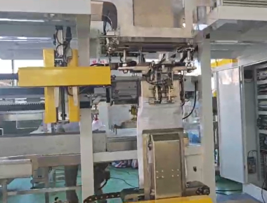 50gから2kgのパウチ用高速VFFS塩包装機